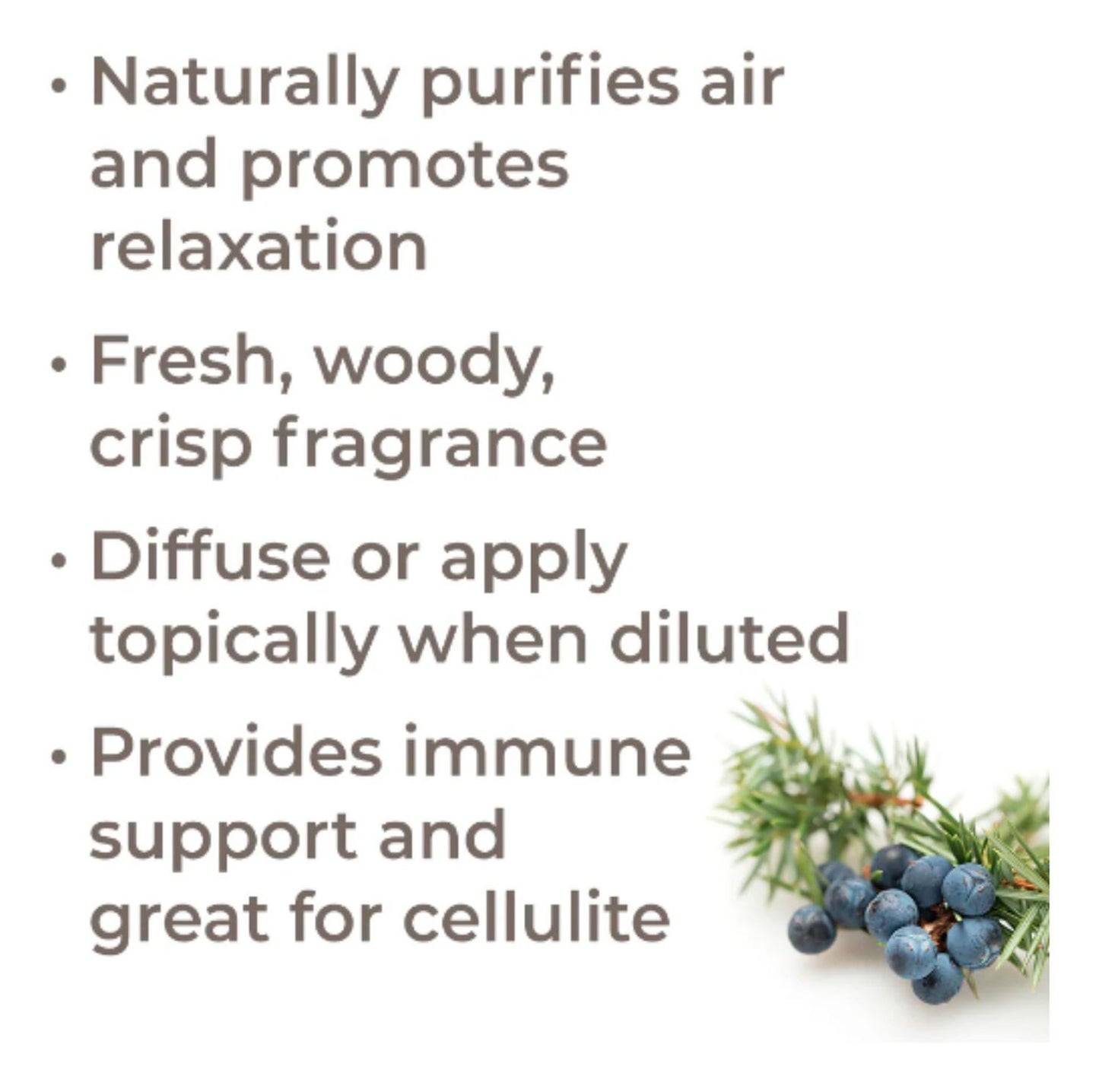 jpg_1500x1500_61918614