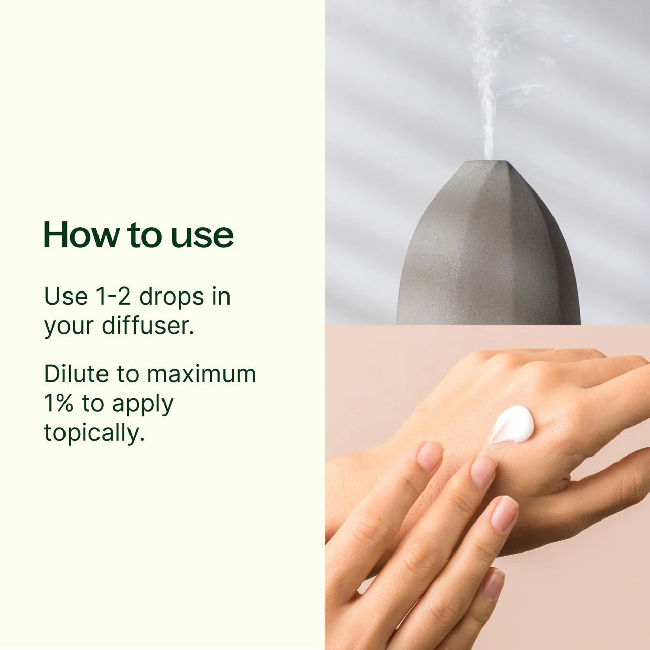 Plant Therapy Extracto de CO2 de raíz de jengibre 10ml