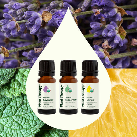 Plant Therapy Kit de Aceites De Lavanda, Limon Y Menta 3 Piezas