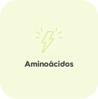 Aminoacidos