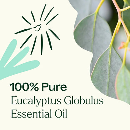 Plant Therapy Aceite esencial de eucalipto globulus 30ml