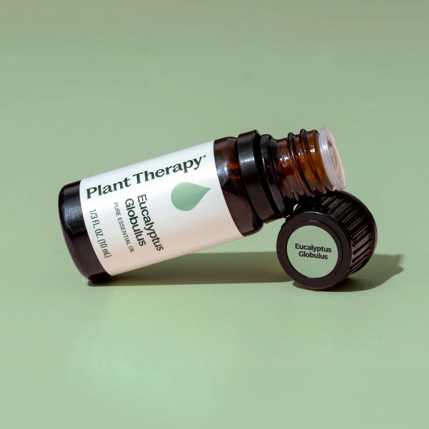 Plant Therapy Aceite esencial de eucalipto globulus 10ml