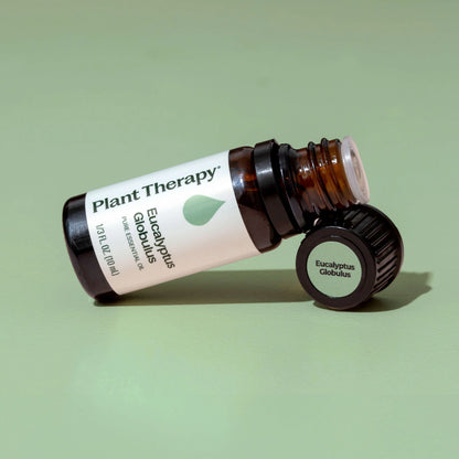 Plant Therapy Aceite esencial de eucalipto globulus 10ml