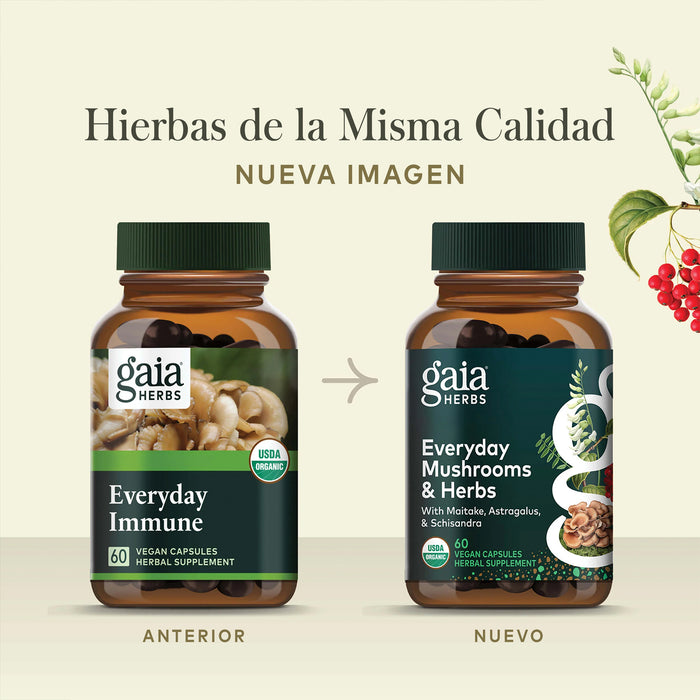 Gaia Herbs Suplemento Mushrooms + Herbs Everyday Immune, 60 Cápsulas Veganas, Reishi, Cordyceps, Cúrcuma y Astrágalo