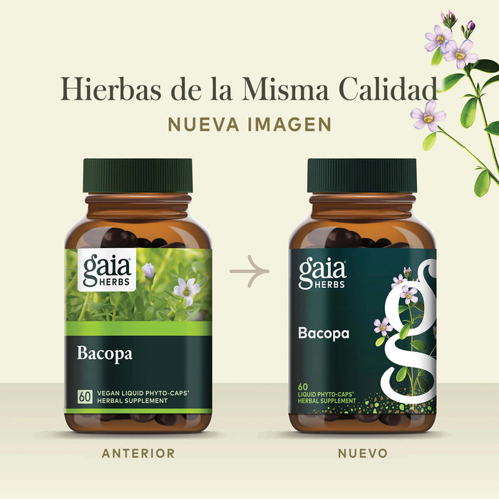 Gaia Herbs Suplemento Bacopa, 60 Cápsulas Veganas, Suplemento Herbal para Apoyo Cognitivo