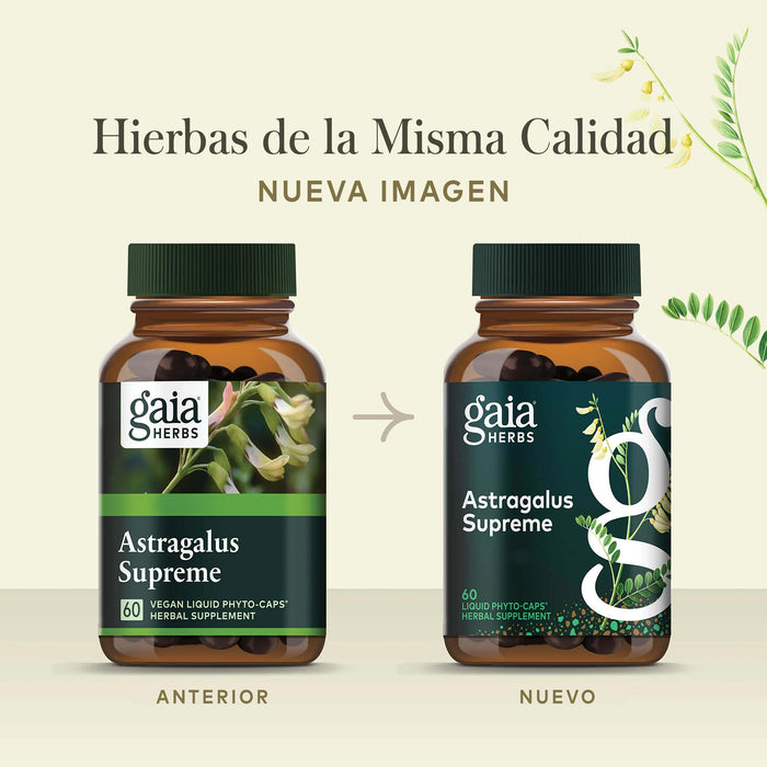 Gaia Herbs Suplemento Astragalus Supreme, 60 Cápsulas Veganas, Apoyo Inmunológico y Resistencia al Estrés