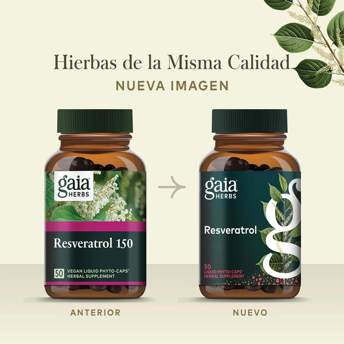 Gaia Herbs Suplemento Resveratrol 150, 50 Cápsulas Veganas, Antioxidante para Salud Celular y Envejecimiento Saludable