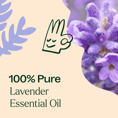 Plant Therapy Aceite Esencial De Lavanda 100ml