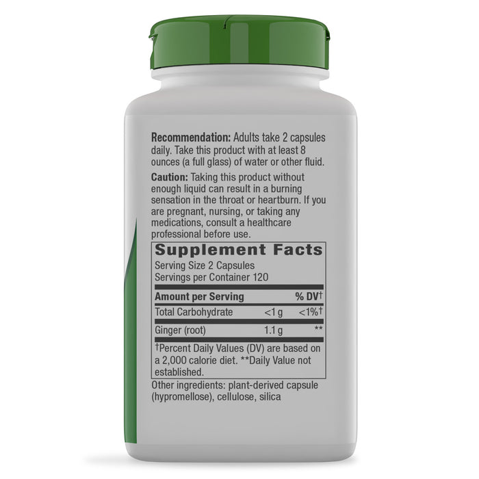Nature's Way Suplemento Raíz de Jengibre 1100 mg, 240 cápsulas