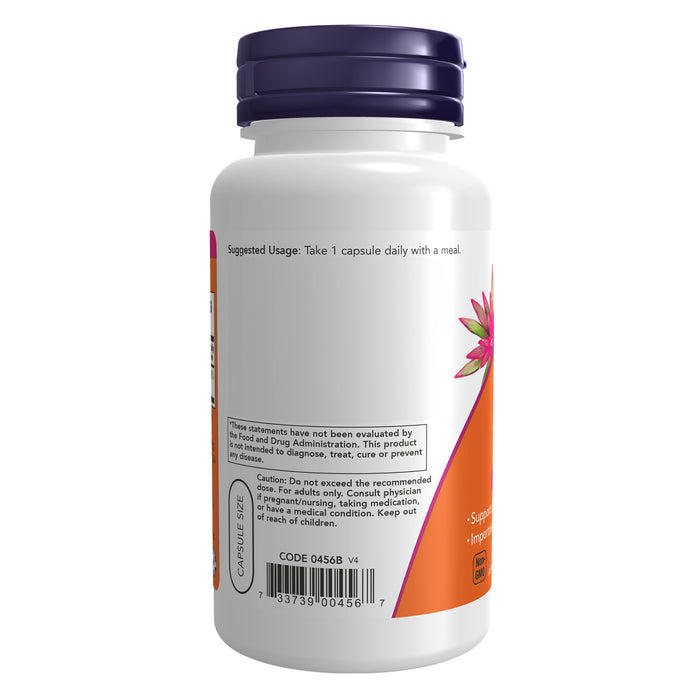 Now Suplemento Vitamina B-6 100 mg 100 Cápsulas