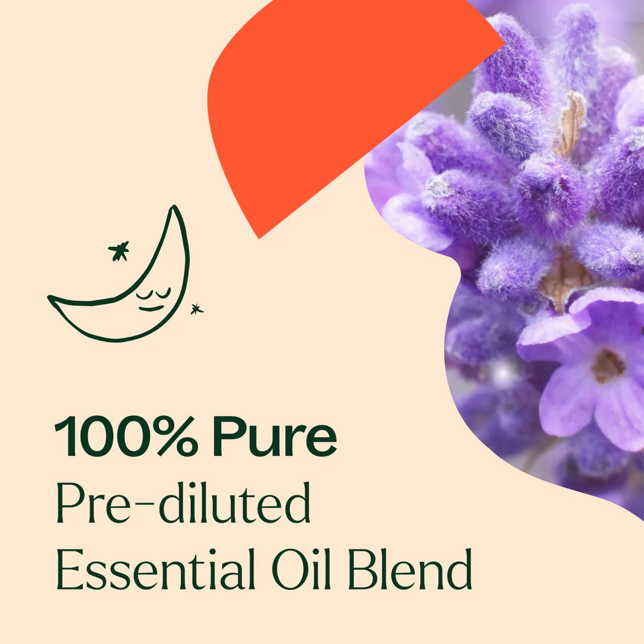 Plant Therapy Nighty Night Aceite esencial prediluido Roll 10ml