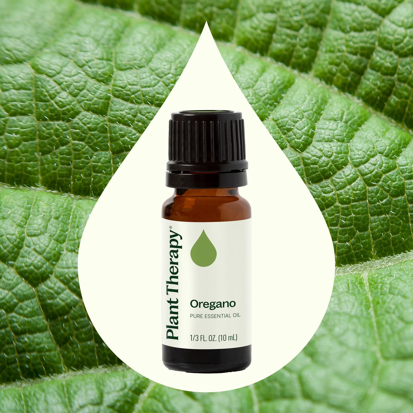 Plant Therapy Aceite Esencial De Oregano 10ml