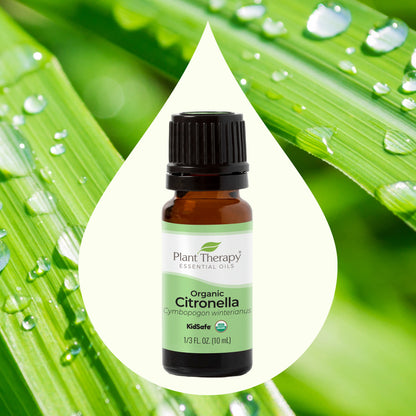 Plant Therapy Aceite esencial de citronela orgánico 10ml