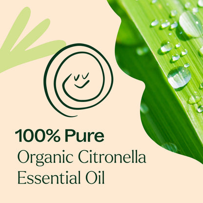 Plant Therapy Aceite esencial de citronela orgánico 10ml