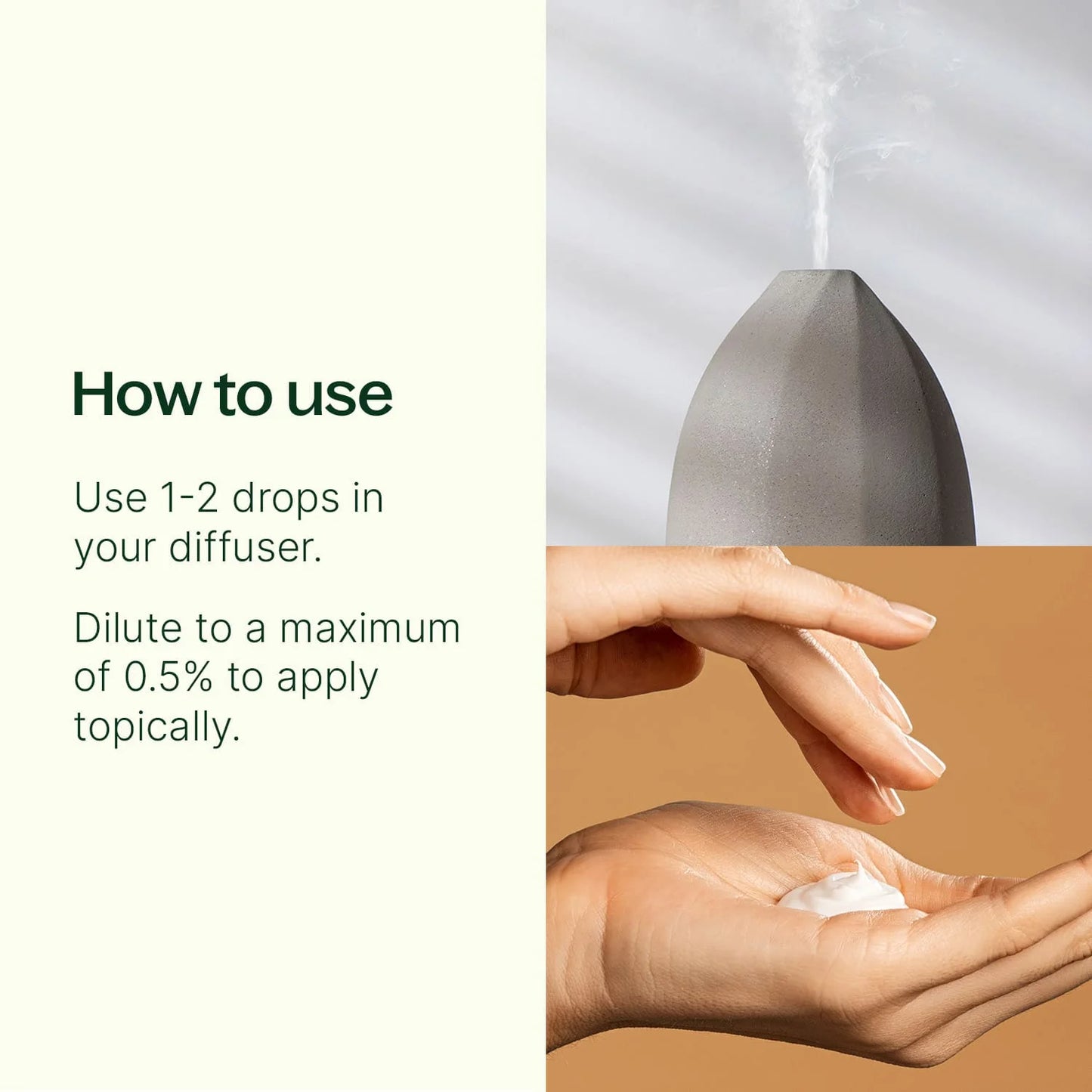 Plant Therapy Aceite esencial de clavo orgánico 10ml