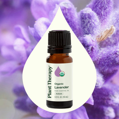 Plant Therapy Aceite esencial de lavanda orgánica 10ml