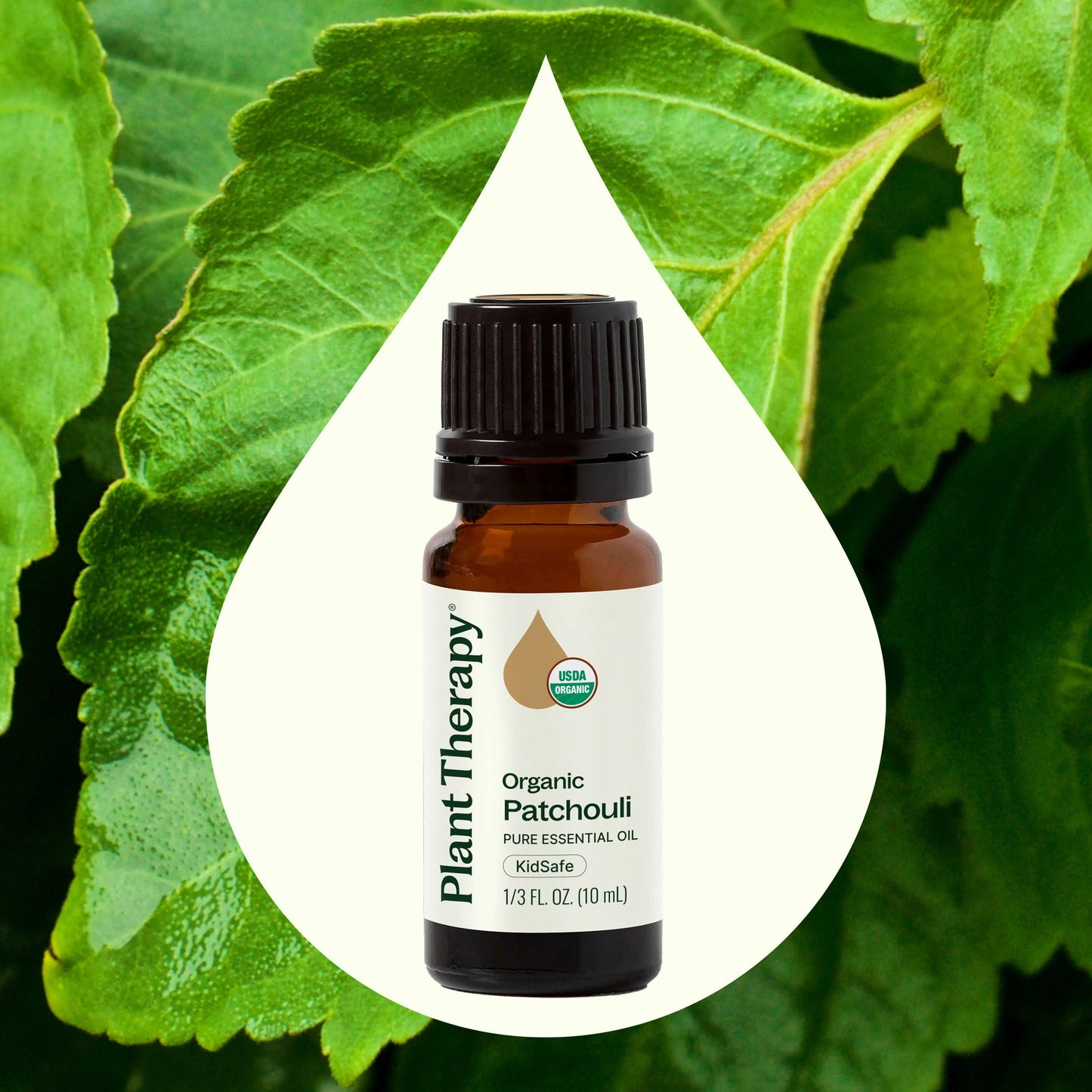 Plant Therapy Aceite esencial de pachulí orgánico 10ml