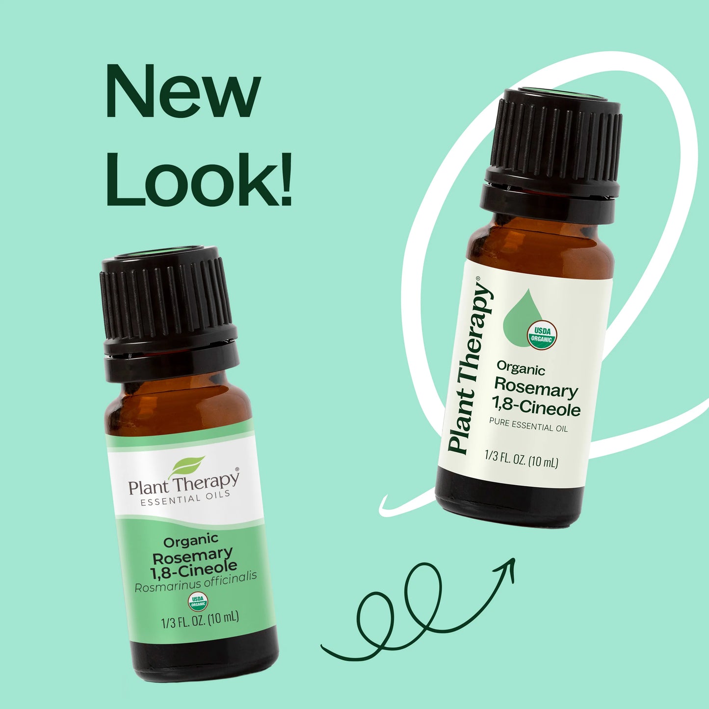 Plant Therapy Aceite esencial de romero 1,8-cineol orgánico 10ml