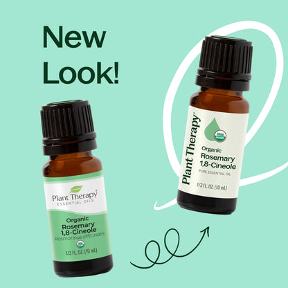 Plant Therapy Aceite esencial de romero 1,8-cineol orgánico 10ml