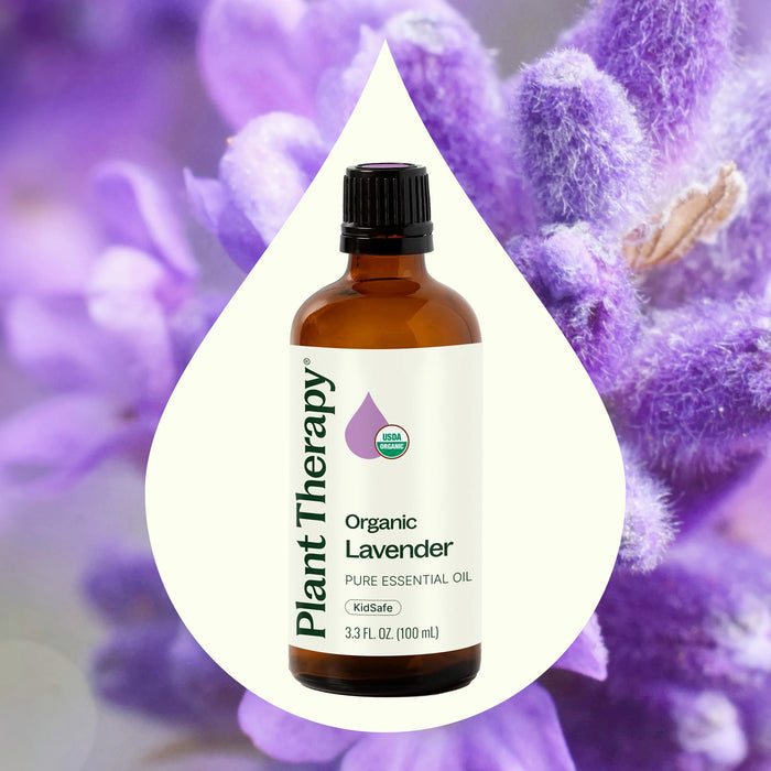 Plant Therapy Aceite Esencial Orgánico de Lavanda, 100 ml (3.3 oz)