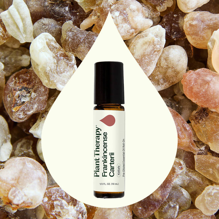 Plant Therapy Aceite esencial de incienso Carterii prediluido en roll-on 10ml