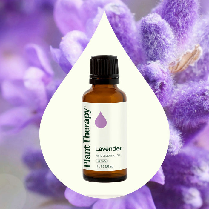 Plant Therapy Aceite Esencial De Lavanda 30ml