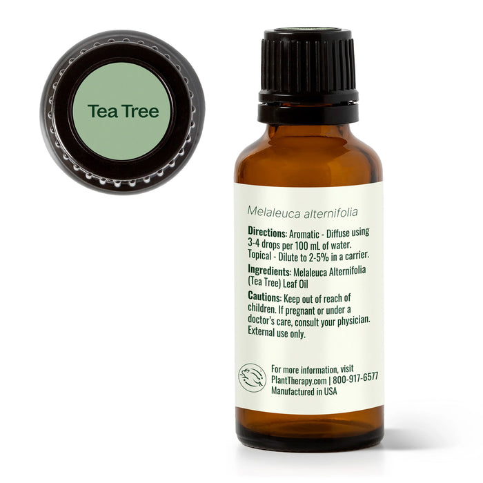 Plant Therapy Aceite Esencial De Arbol De Te 30ml
