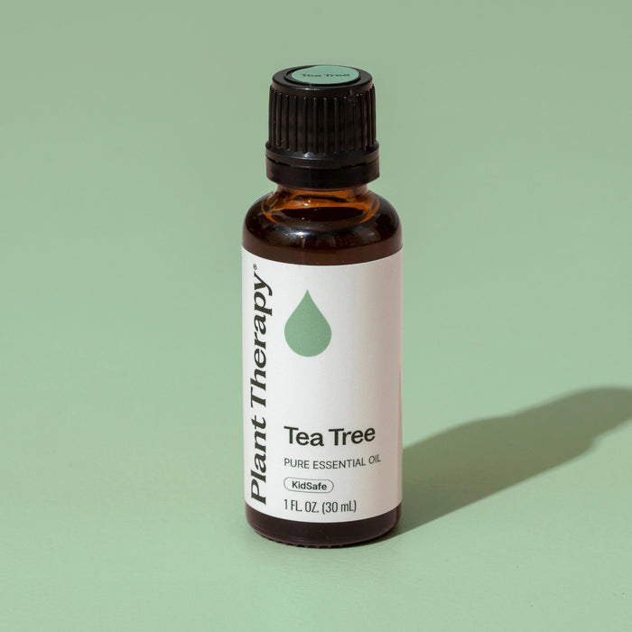 Plant Therapy Aceite Esencial De Arbol De Te 30ml