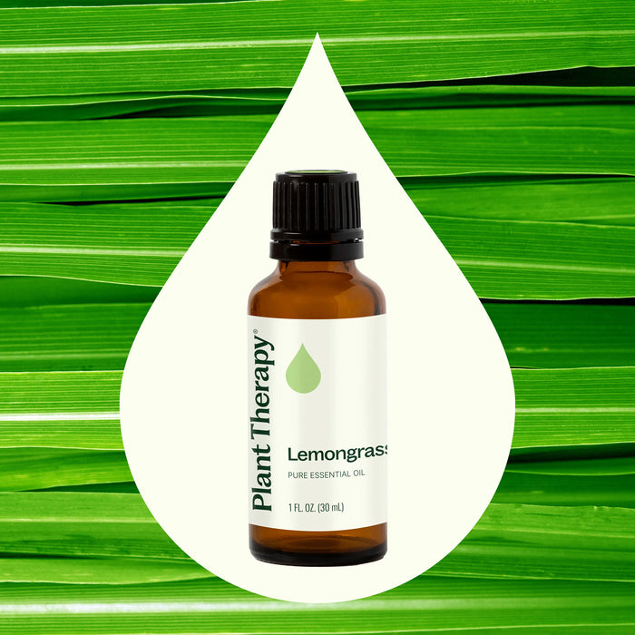Plant Therapy Aceite Esencial de Limoncillo 30ml