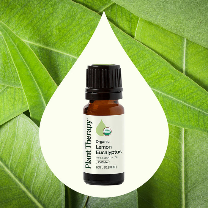 Plant Therapy Aceite Esencial De Eucalipto Y Limon 10ml