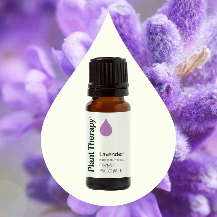 Plant Therapy Aceite Esencial De Lavanda 10ml