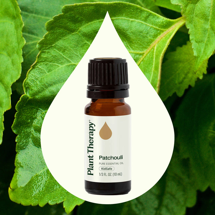 Plant Therapy Aceite Esencial de Pachulí 10ml