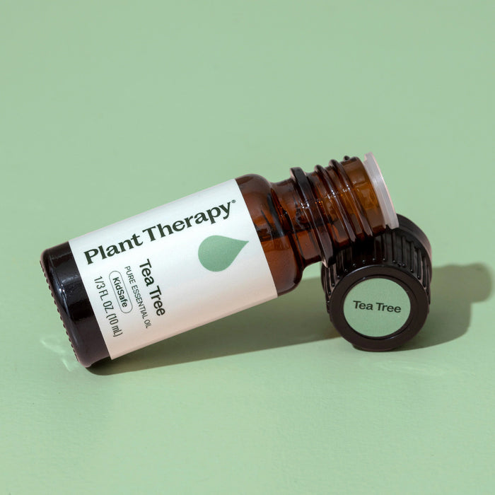 Plant Therapy Aceite Esencial De Árbol De Té 10ml