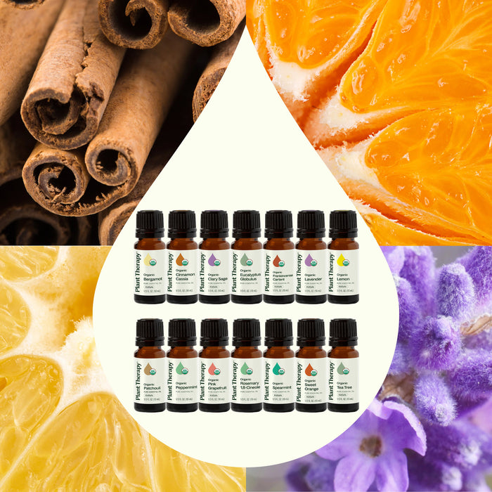 Plant Therapy Kit de Aceites Esenciales – 14 Piezas 10 ml (1/3 oz)