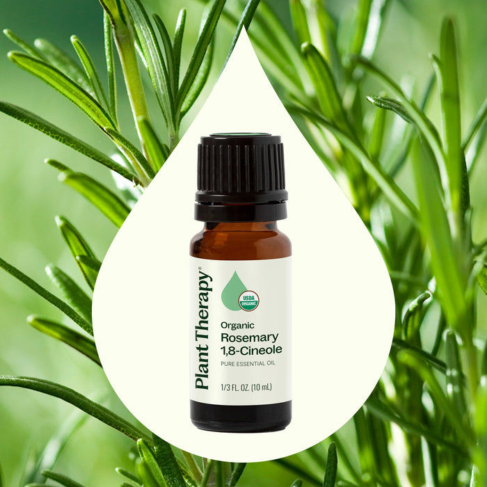 Plant Therapy Aceite Esencial de Romero 1,8-cineol Orgánico 10ml