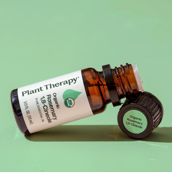 Plant Therapy Aceite Esencial de Romero 1,8-cineol Orgánico 10ml