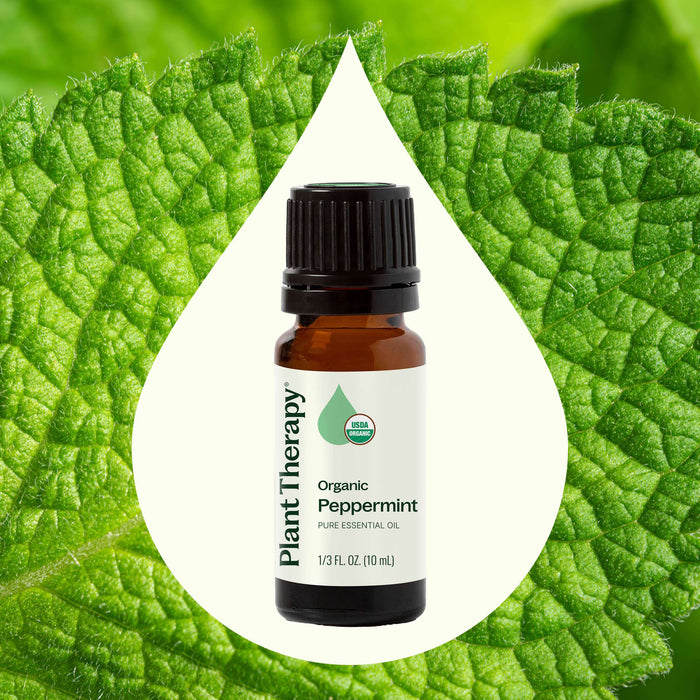 Plant Therapy Aceite Esencial de Menta Orgánica 10ml