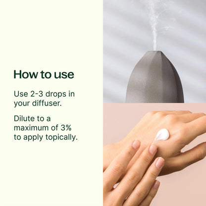 Plant Therapy Aceite Esencial De Palo Santo 5ml