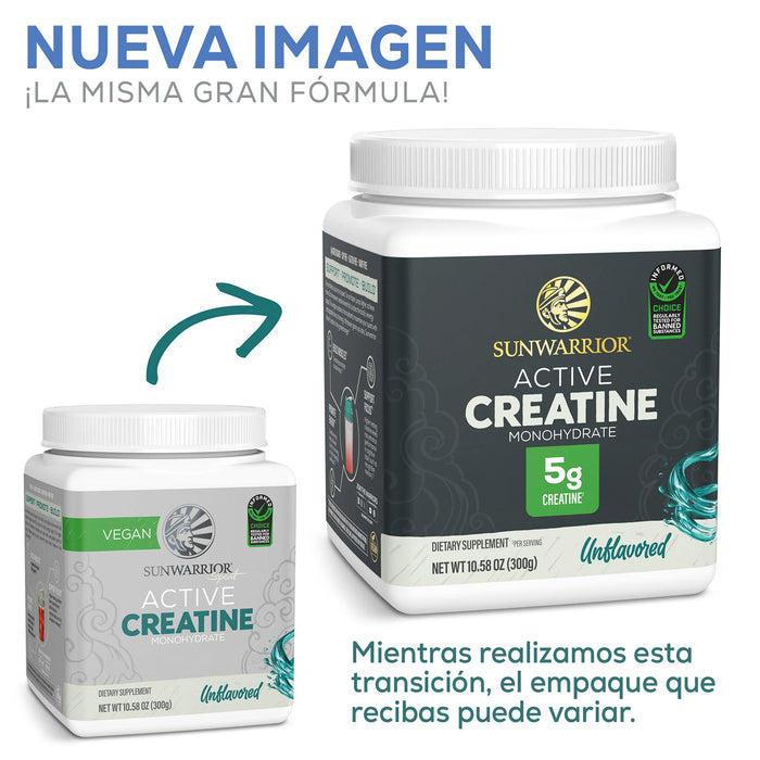 Sunwarrior Active Creatina Monohidratada en Polvo, Sin Sabor, 300 g, Vegana, Sin OMG