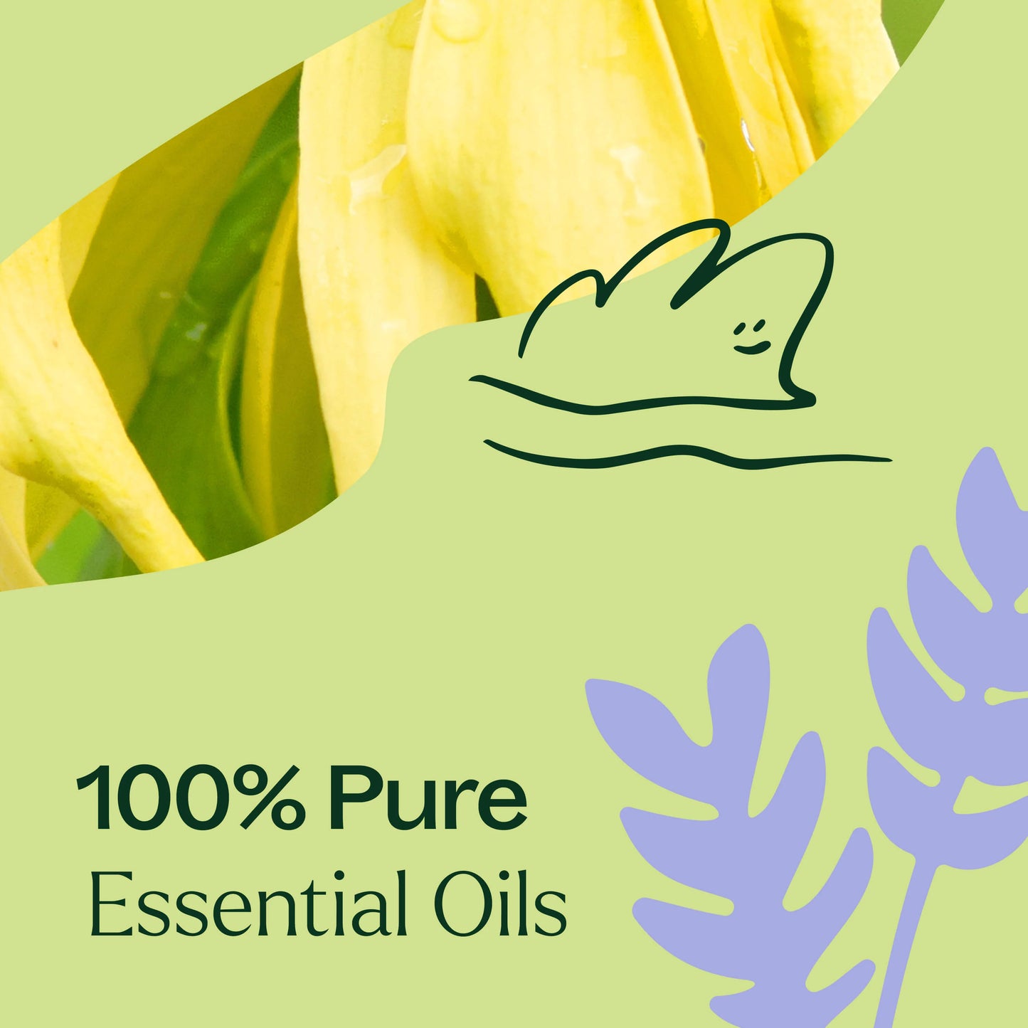 Plant Theraphy Mezcla de aceites esenciales para ayudar a dormir 10ml