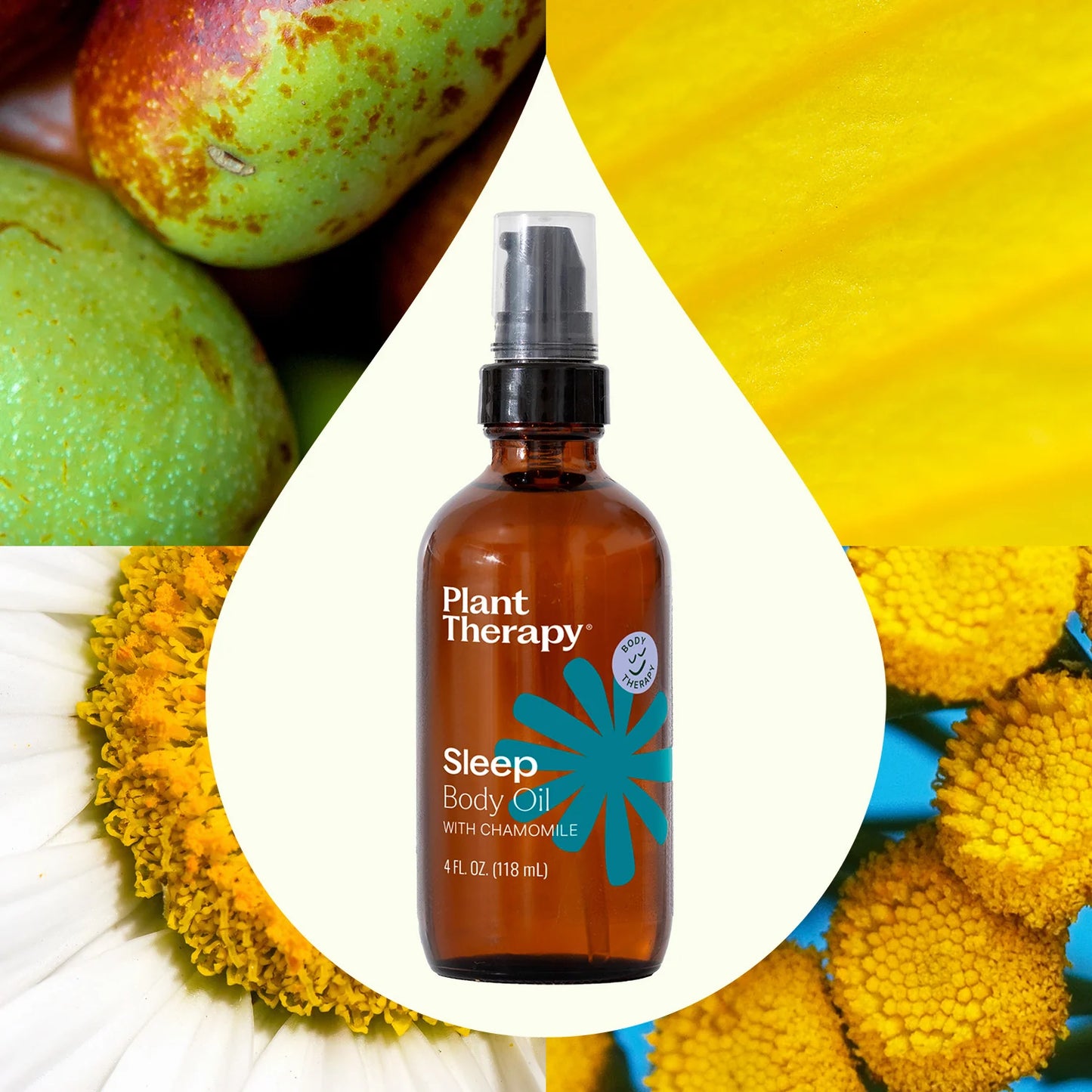 Plant Therapy Aceite corporal para dormir con manzanilla, 4fl oz (118ml)