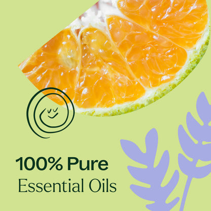 Plant Therapy Sleep Tight Mezcla de aceites esenciales 10ml