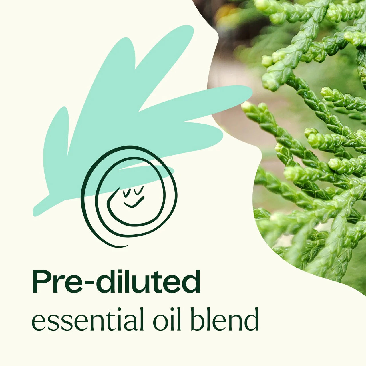 Plant Therapy Aceite esencial prediluido Sniffle Stopper KidSafe Roll-On 10ml