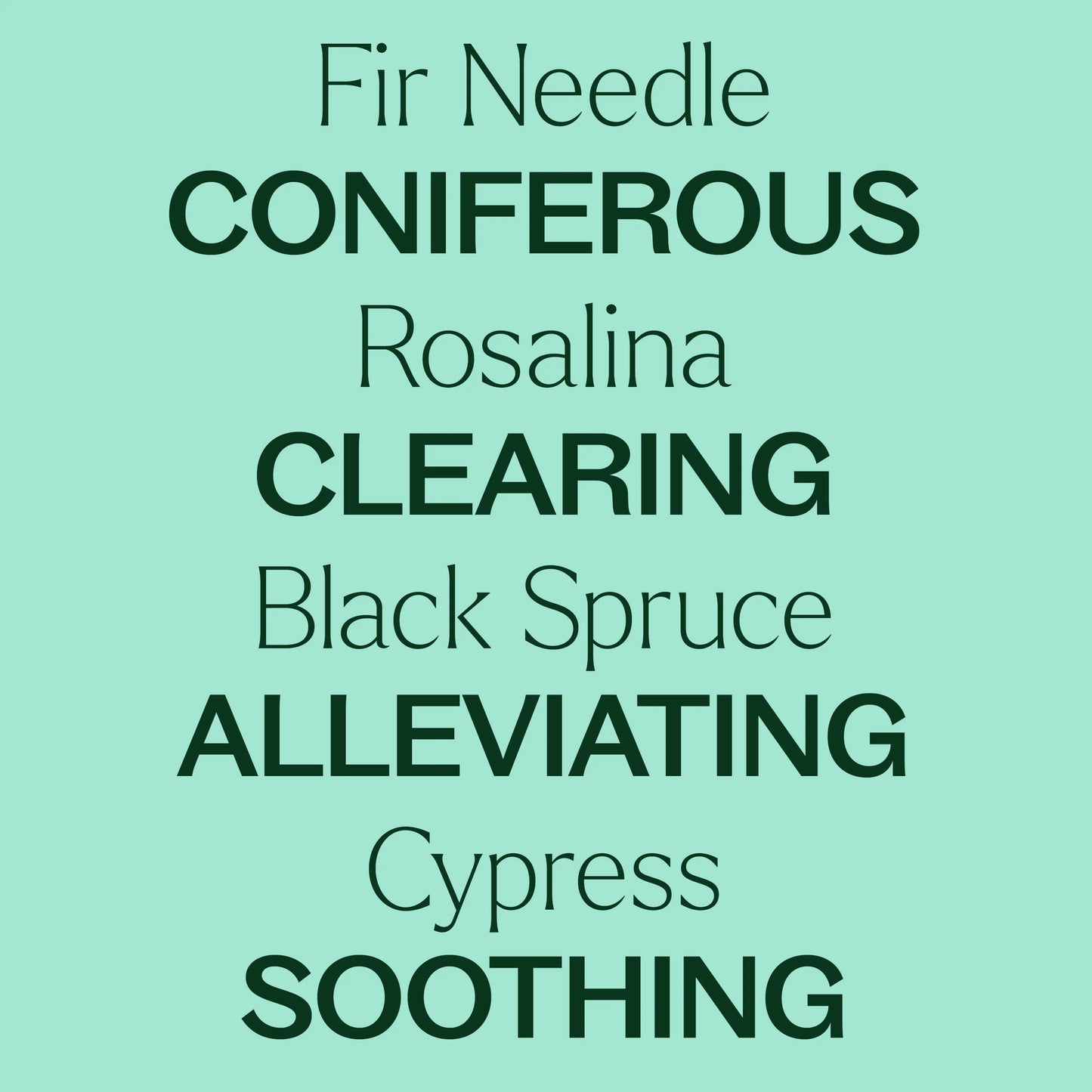 Plant Therapy Aceite esencial prediluido Sniffle Stopper KidSafe Roll-On 10ml