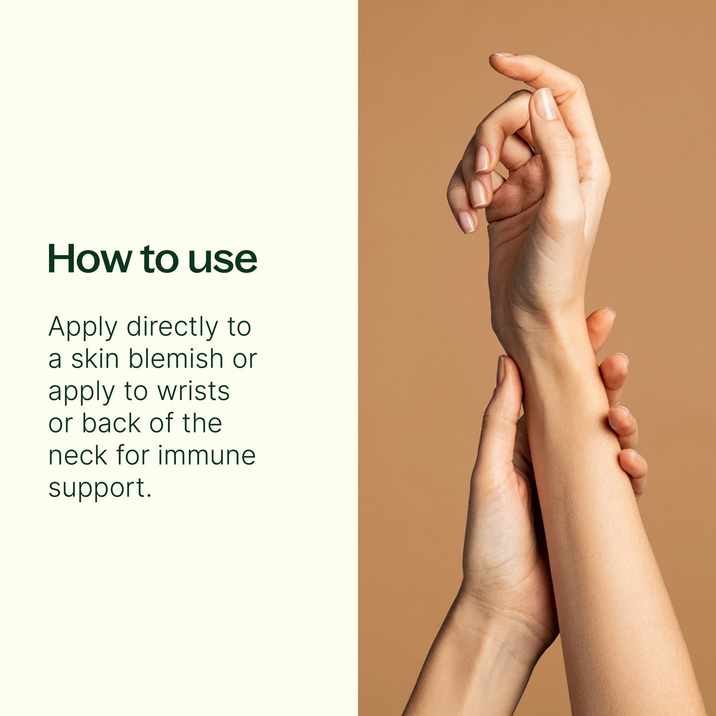 Plant Therapy Roll-on prediluido de aceite esencial de árbol de té 10ml