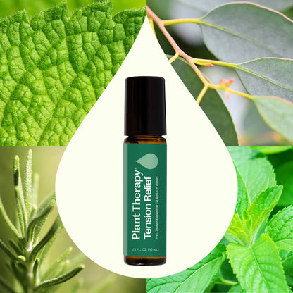 Plant Therapy Mezcla de aceites esenciales prediluidos para aliviar la tensión en roll-on 10ml