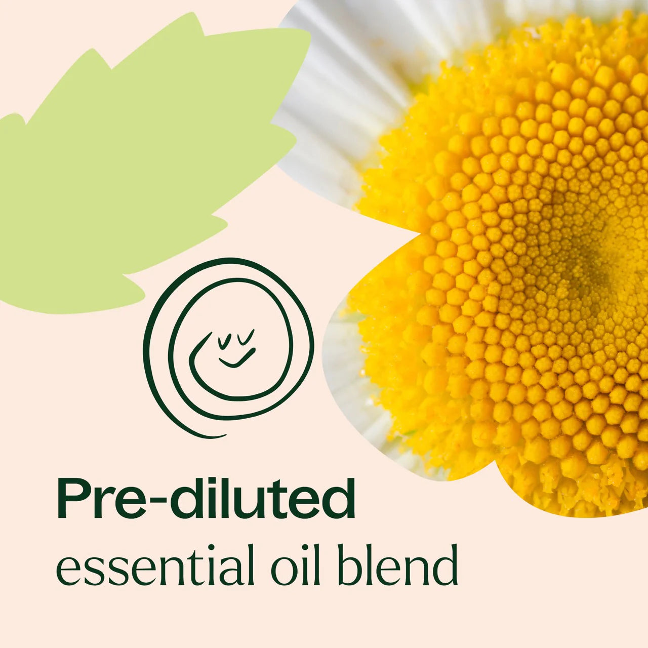 Plant Therapy Tummy All Better Aceites Esenciales Para Abdomen En Roll 10ml