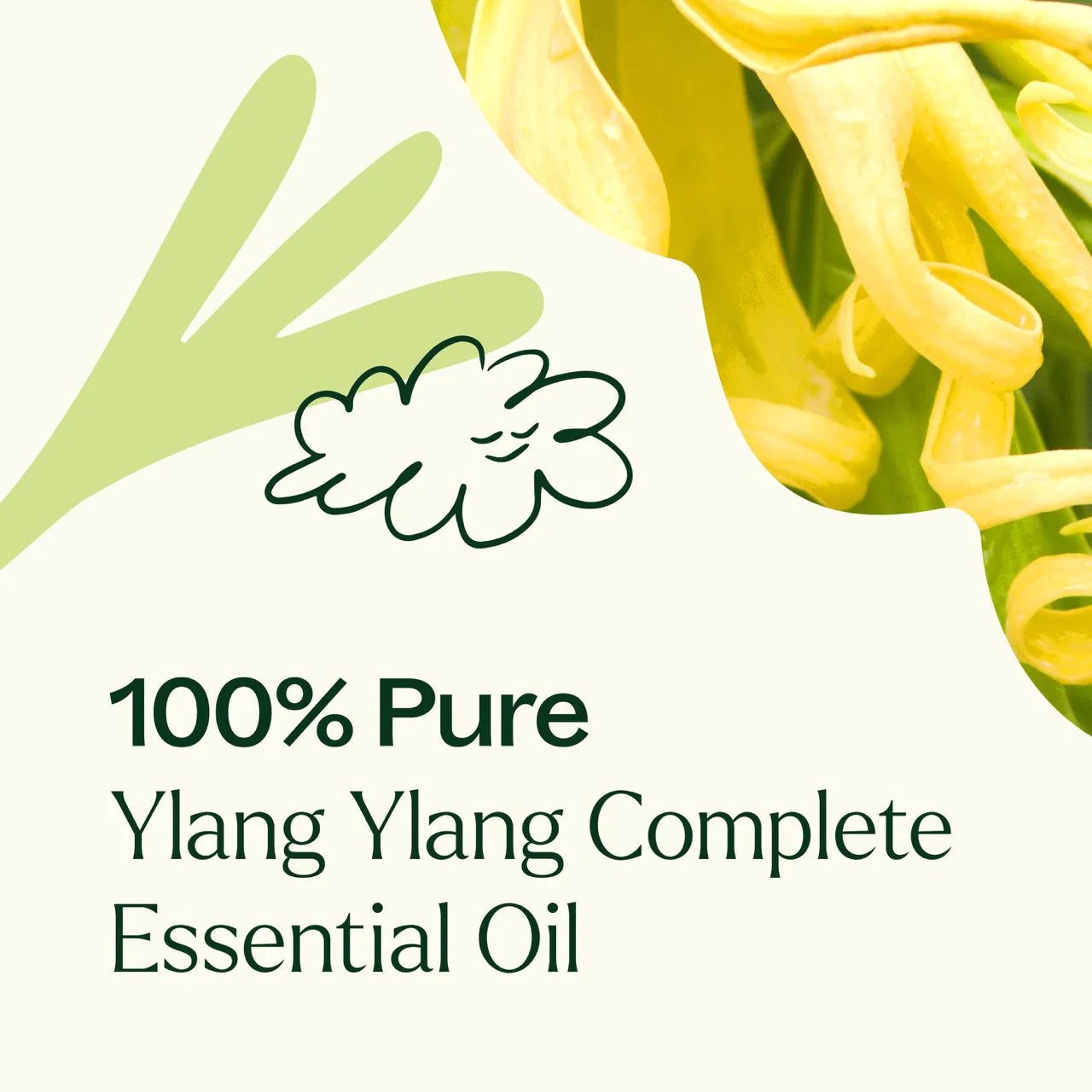 Plan Therapy Aceite esencial completo de Ylang Ylang 10ml