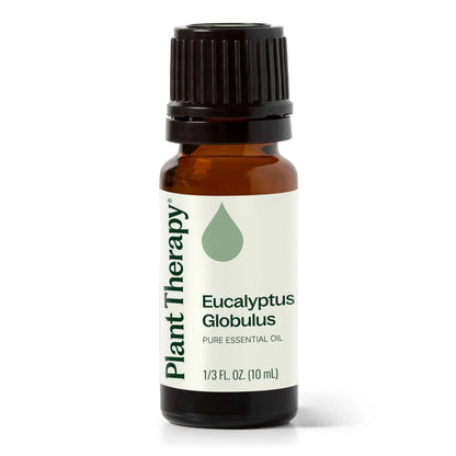 Plant Therapy Aceite esencial de eucalipto globulus 10ml