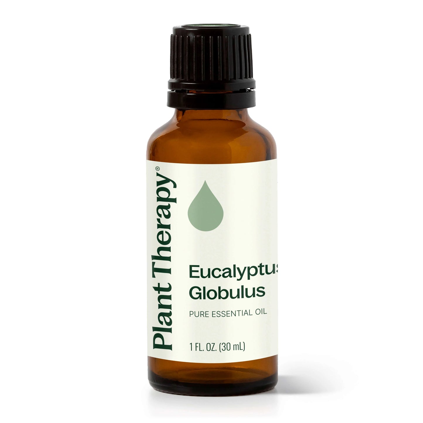 Plant Therapy Aceite esencial de eucalipto globulus 30ml
